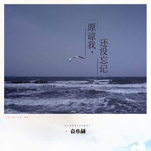 亚洲黄色AV网站
